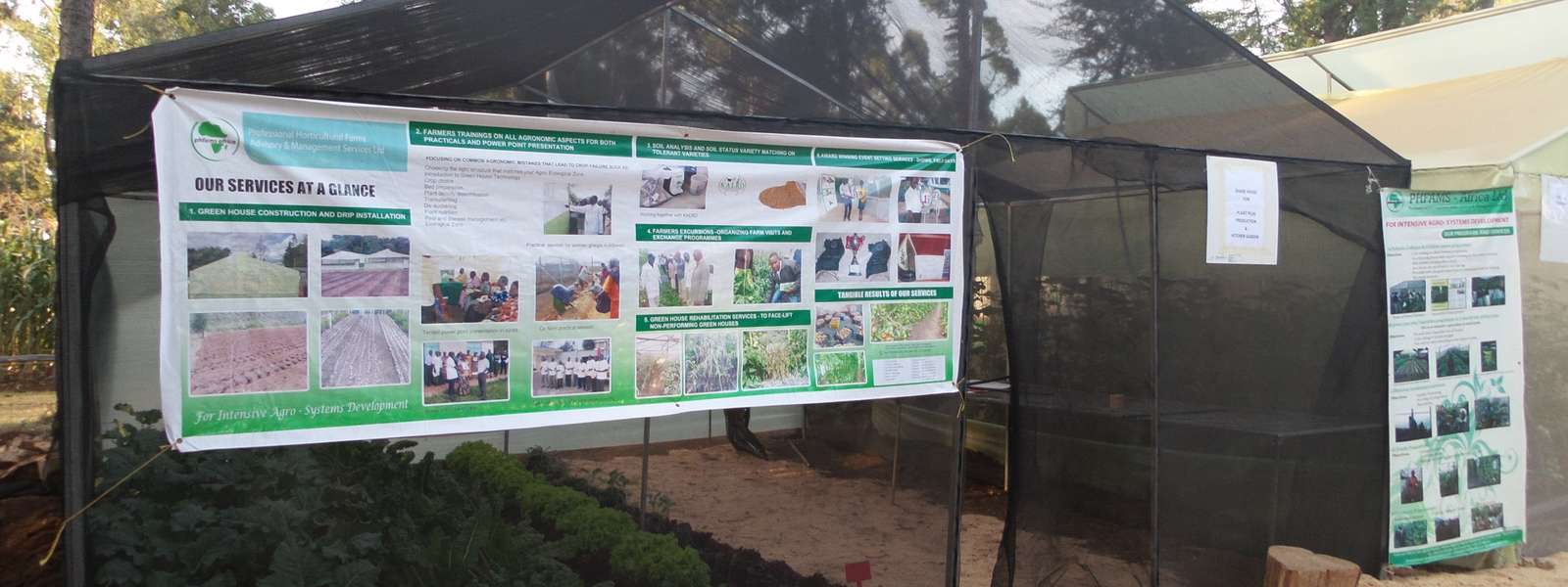 Applying Simple Technology